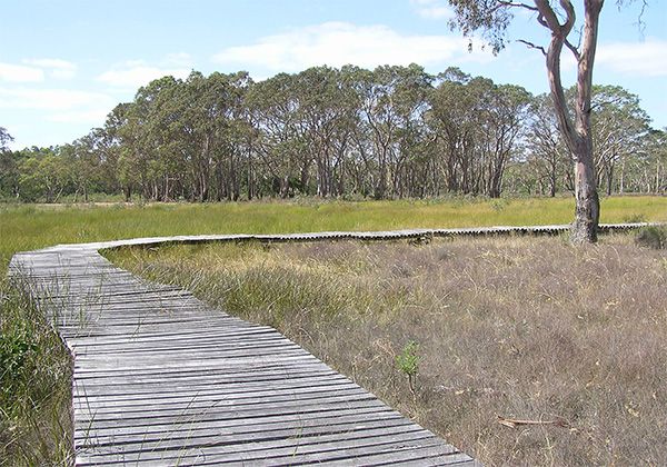 Penola Conservation Park eBike Tours