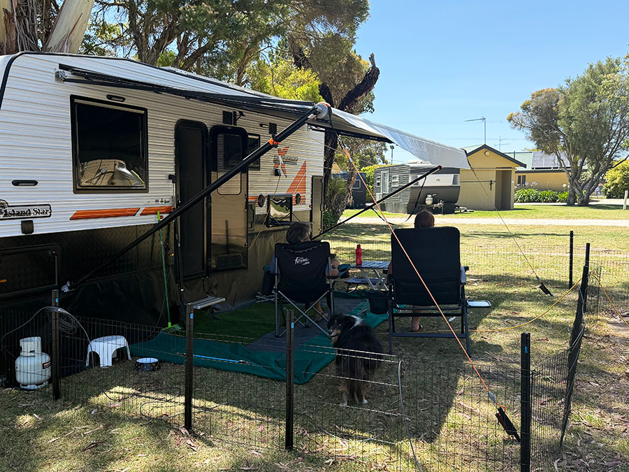 Dog friendly accommodation